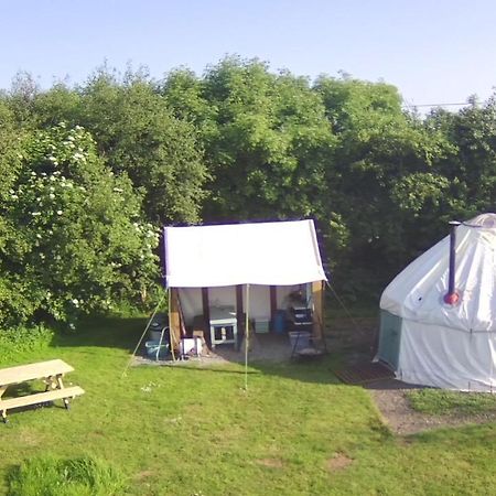 Mill Haven Place Glamping-Yurt 1 Talbenny Exterior foto